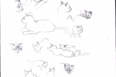 5-CATS-GATTI-ILLUSTRATION-ILLUSTRATA-ILLUSTRATORE-NESME-DISNEY