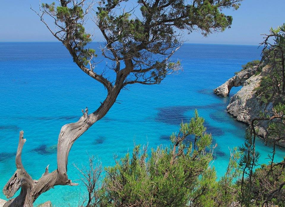 sea Sardinia