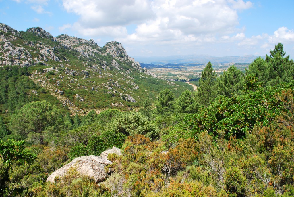 oasi naturalistica