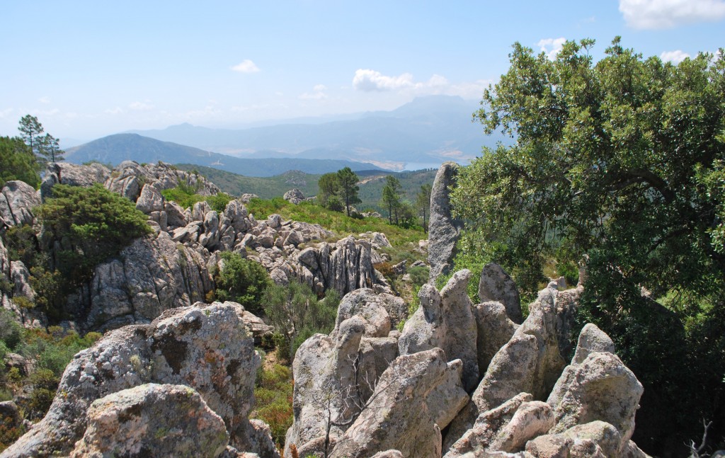 foresta usinavà