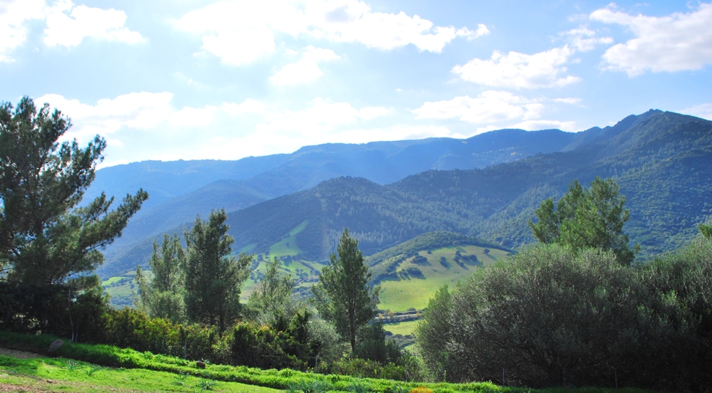 parco regionale Sardegna