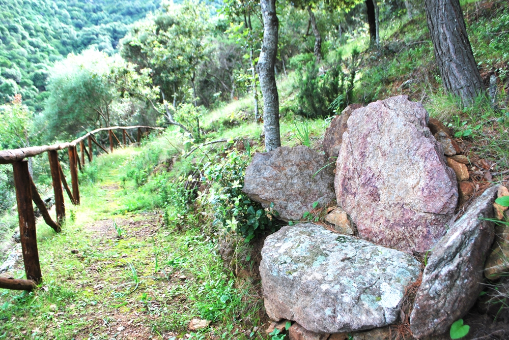 capodanno natura