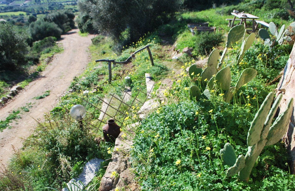 estate Sardegna