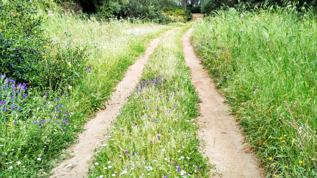 passeggiata sardegna