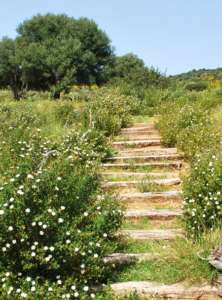 vacanze naturali