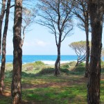 spiagge più belle