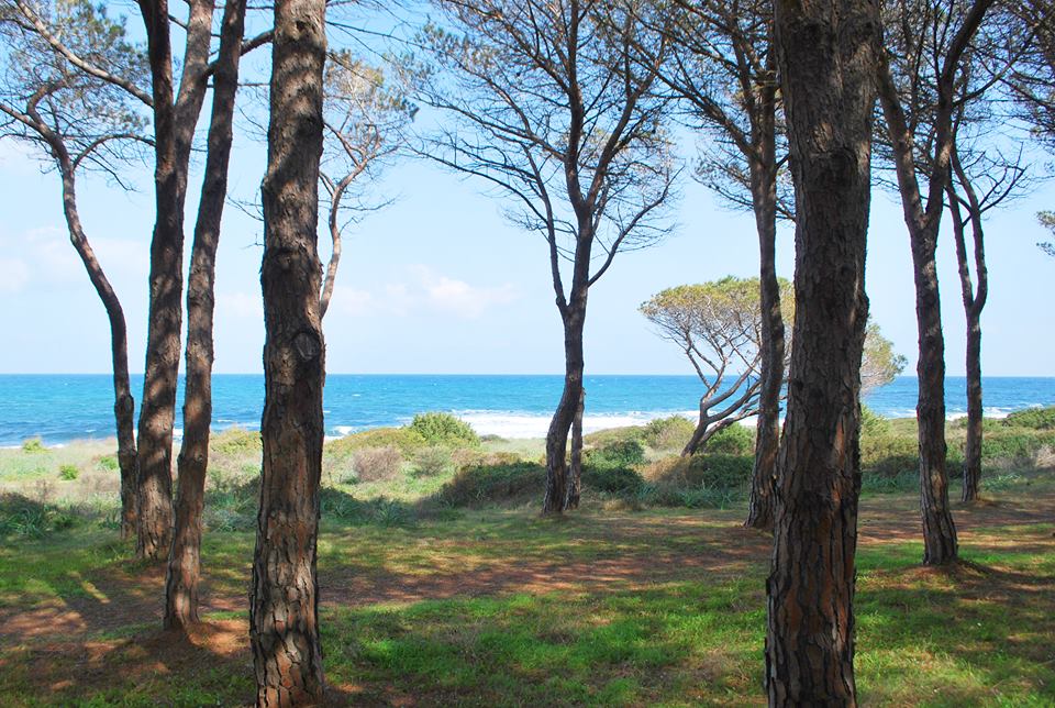 spiagge più belle