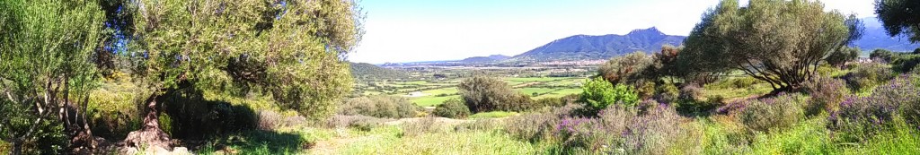 panorama sardegna