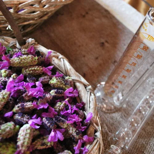 acqua-aromatica-distillazione-lavanda-fiori-sardegna-sardinia-hotel