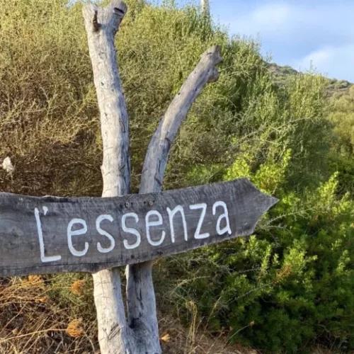 ESSENZA-SARDEGNA-HOTEL-NATURALE-OASI-TEPILORA-VACANZA-ECOLOGICA-UNESCO