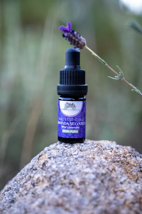 olio essenziale lavanda selvatica Essenza Sardegna