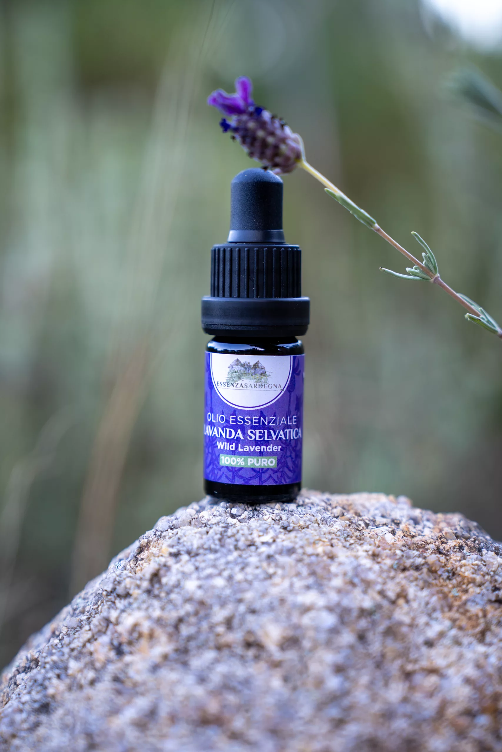 Olio Essenziale di Lavanda Selvatica BIO